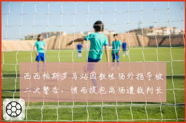 西西帕斯罗马站因教练场外指导被二次警告，愤而提包离场遭裁判长约谈